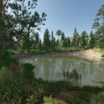 Forest Valley2