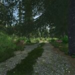 Forest Valley6