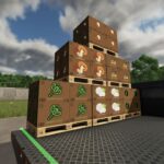 Green Bites Express3