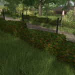 Hedges Pack