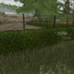 Hedges Pack4