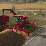 Holmer Terra Felis 3 Evo2