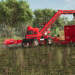 Holmer Terra Felis 3 Evo3