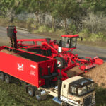 Holmer Terra Felis 3 Evo4