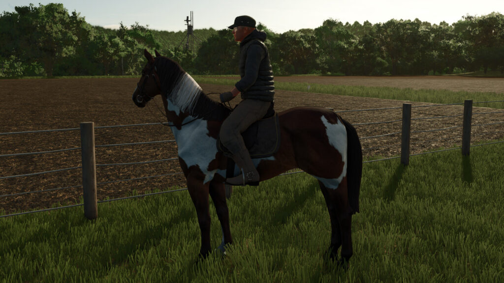 HorseHelper