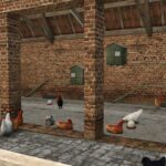 Ivoy Chicken Coop3