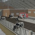 Large Cow Shed2