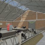 Large Cow Shed3