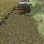 Lizard Z-319 v1.06