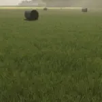 New Grass Texture v1.02
