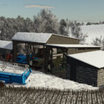 Old Shed3