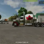PETERBILT 388 Skin 5 v1.0