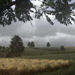Real Sky3