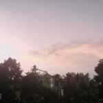 Real Sky5