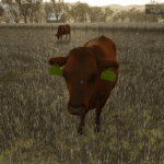 Realistic Livestock V1.0.0.14
