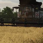 Rostselmash Torum 770 Pack2