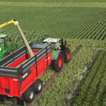 Thievin CORTAL 210-724