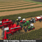 Tramline Shop Filter V0.2.1.32