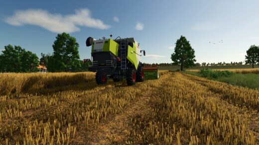 Adjusted Fruits (Prefab*) V1.0