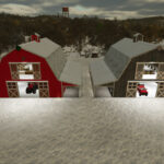 American Barn With Storage3