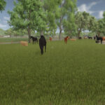Auto Horse Care