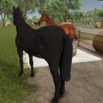 Auto Horse Care2
