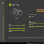 Better Horse Value