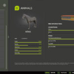 Better Horse Value2