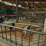 Breeding Stable3