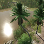 Coconut Trees2
