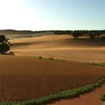 Fazenda Caiçara v1.03
