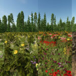 Flowering Catch Crop (Prefab*)