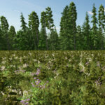 Flowering Catch Crop (Prefab*)