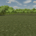 Hickory Hills3