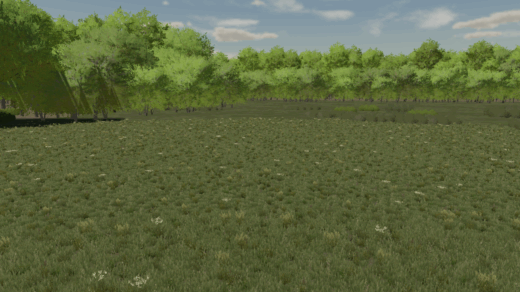 Hickory Hills3