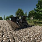 Krone Cotton Pack3