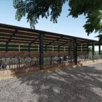 Large Dutch cowshed