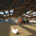 Large Old Chicken Coop4