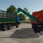 Lizard 551022