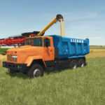 Lizard 650322