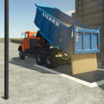 Lizard 650323