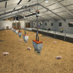 Lizard Animal Barns5