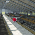 Lizard Cow Barns3