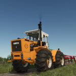 Lizard Steiger 2503