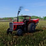 Massey Ferguson 6 Caneco Series4