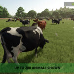 More Visual Animals2