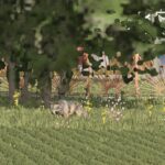 More Wild Animals3