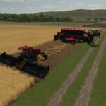 NEXAT PW 83