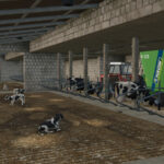 Old Polish Cowbarn3