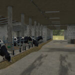 Old Polish Cowbarn5